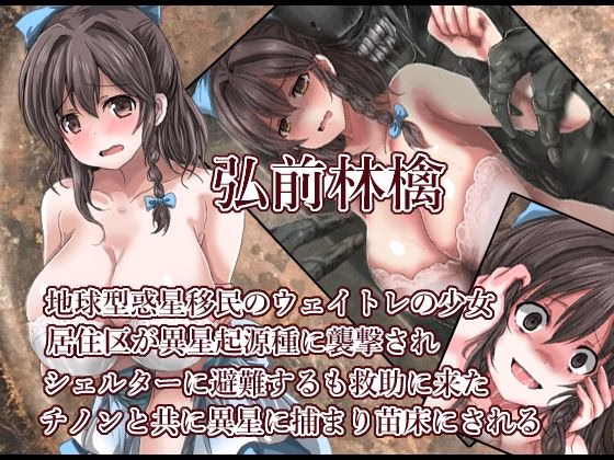 子宮脱苗床研究船 画像3
