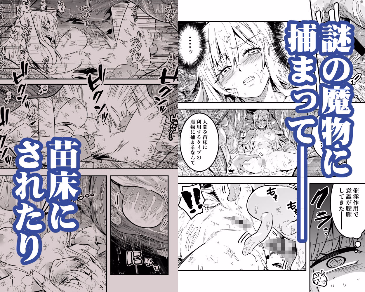 冒険者ちゃんとえっちな冒険5 画像2