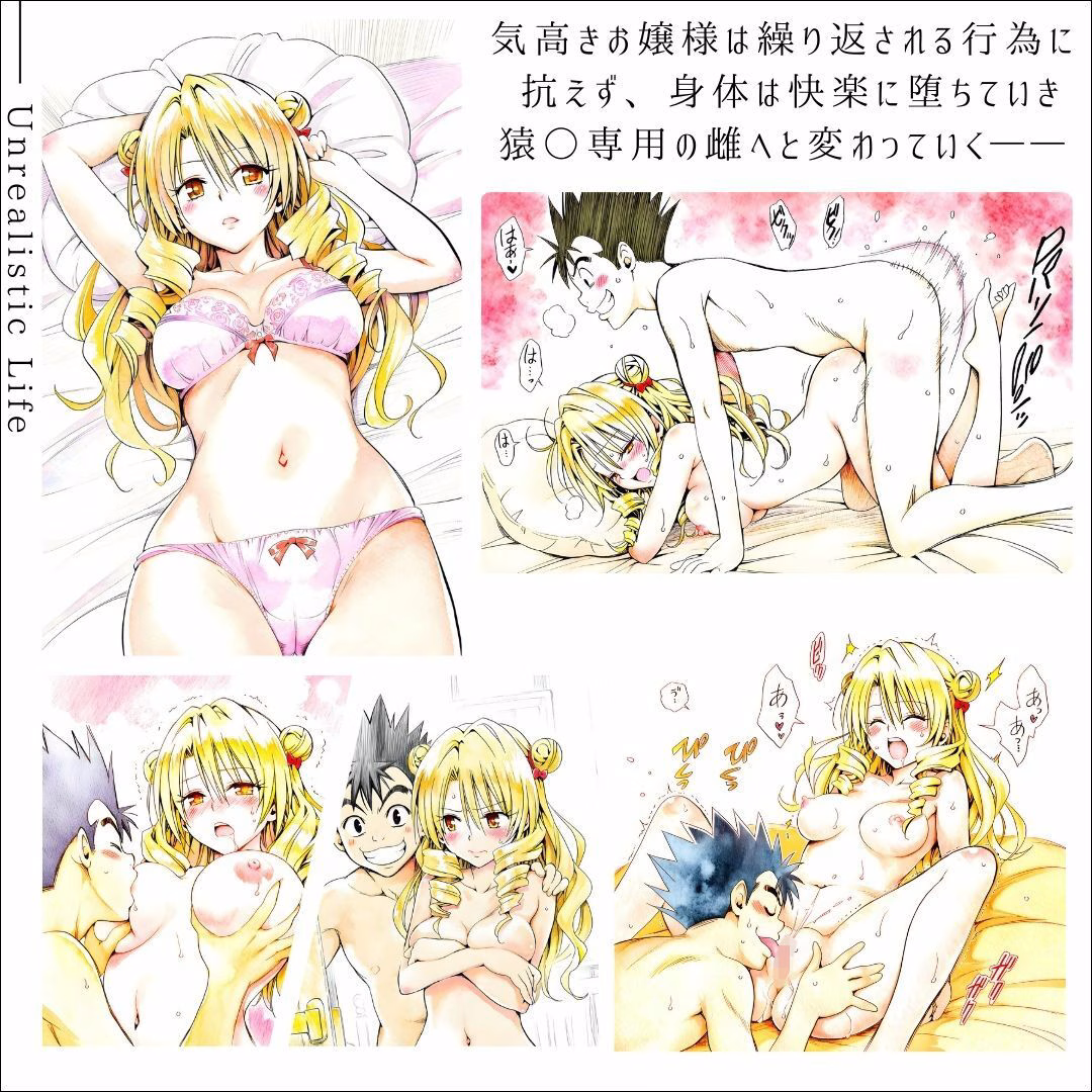 高慢令嬢、格下男子に抱かれて  快楽に堕ちたお嬢様の末路  天条院沙○ 画像1