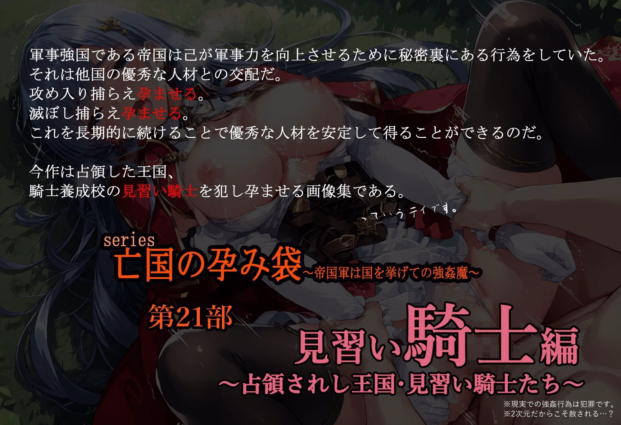 ［亡国の孕み袋］ 〜帝国軍は国を挙げての強●魔〜   第21部 見習い女騎士編 〜占領されし王国、見習い騎士たち〜 画像1