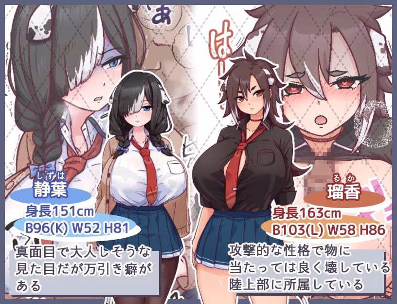 メス犬トレーニング 画像4