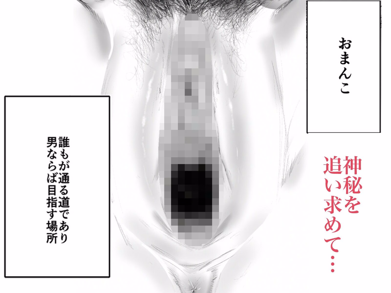 おまんこよろしいですか？ 画像1