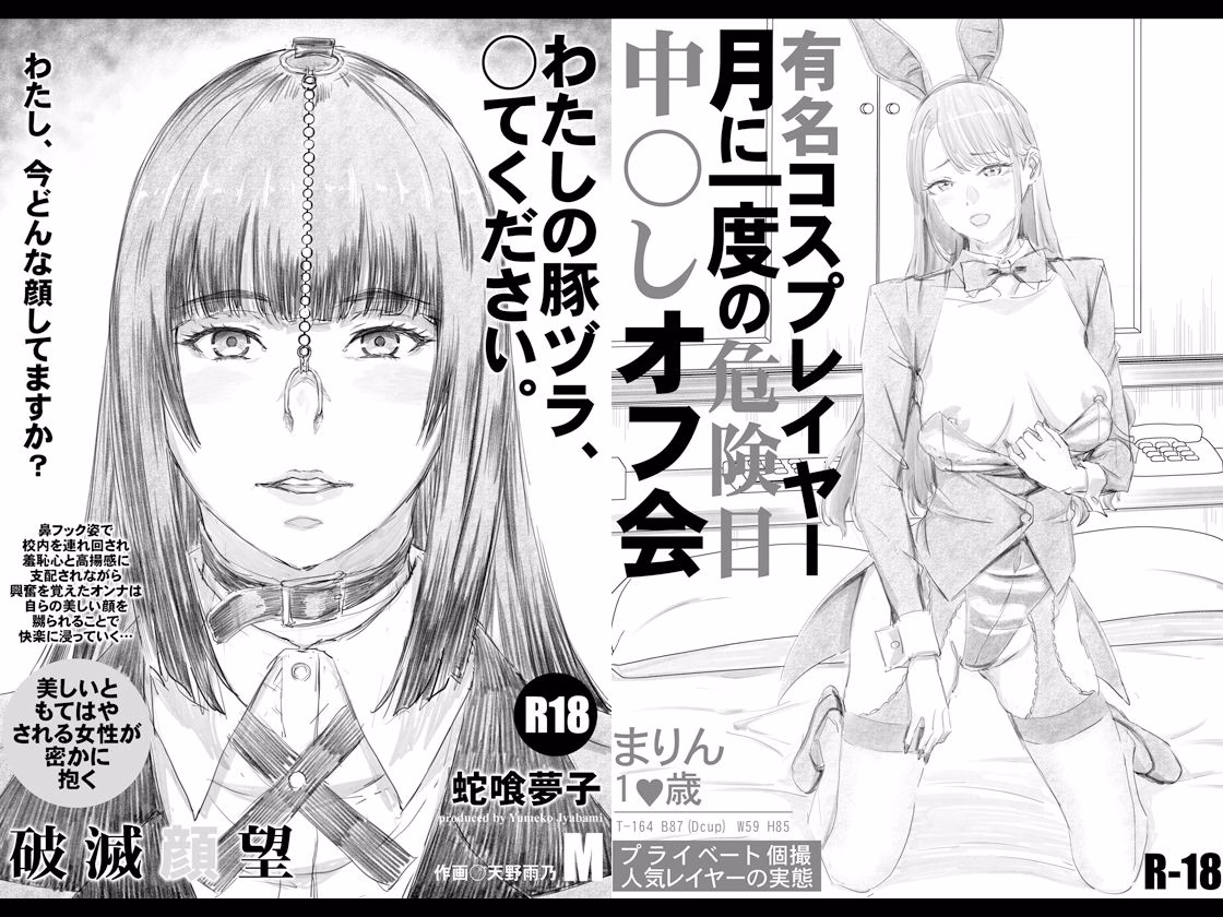 限定本10作品総集編プラス 画像5